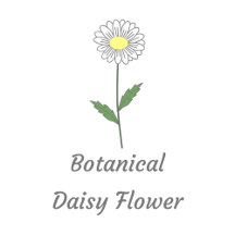 Botanical Daisy Flower