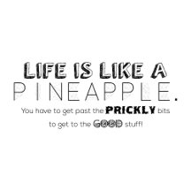 "Life is like a pineapple" range