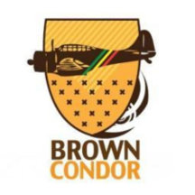 Brown Condor Aviation Group, LLC.