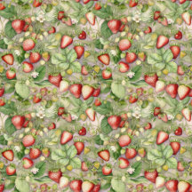 field of ripe, red strawberries