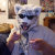 Rudderbutt_Cosplays