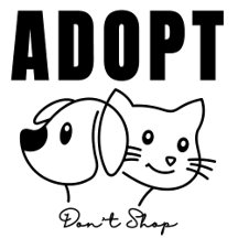 Adult Birthday Gifts