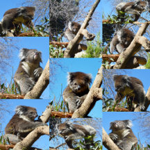Bathroom Beauty, Mats And Towels