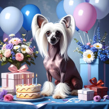 Chinese Crested Birthday Celebration