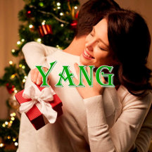 Yang_Name T-Shirt
