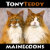 Tony and Teddy Maine Coons