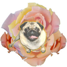PugFlower