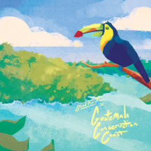 The Guatemala Conservation Coast Collection