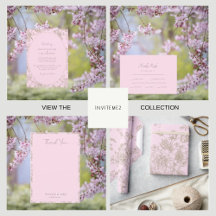 Soft Pink Chinoiserie Wedding Suite