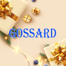 Gossard_Name T-Shirt