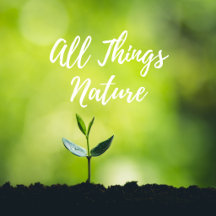 All Things Nature