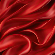 Christmas Holiday Celebration