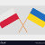 A_Polish_Ukrainian