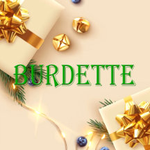 Burdette Name Shirt Burdette_collection