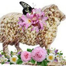 Sheep Butterfly Nursery Country Collection