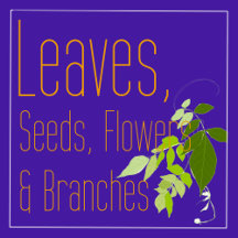 Leaves, Seeds, Flowers & Branches 