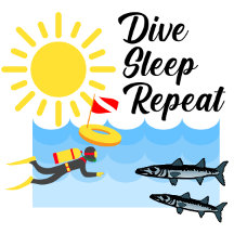 Dive, Sleep, Repeat Design