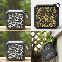 Speaker - Portable 01