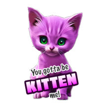 You Gotta Be KITTEN Me!
