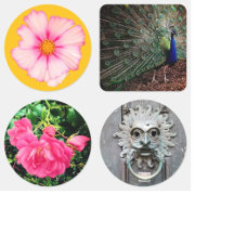Floral - Stickers