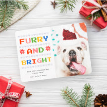 Custom Pet Holiday Christmas Cards