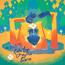 The Rimba Raya Collection