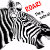 ROARImaZebra