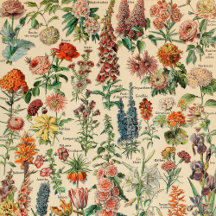 Vintage Botanicals