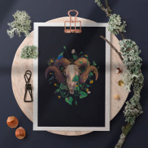 Bildserie Leben Und Tod: Schafschädel