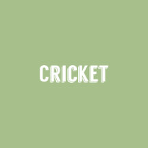 Cricket
