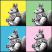 Squirrel Collection