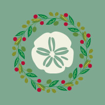 Sand Dollar Seashell And Christmas Wreath