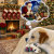 SookiesHolidayDreams