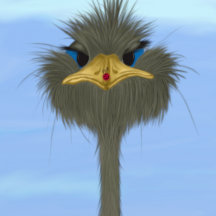 Funny Ostrich Collection