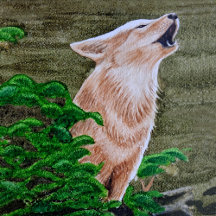 Howling Coyote