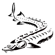 2 - Tribal Sturgeon - ACIPENSER - acigifts@yahoo