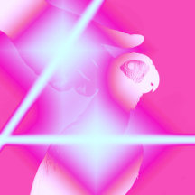 Flip Flop All Fisheye Parrots. Beach Summer