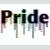 Pride_Store