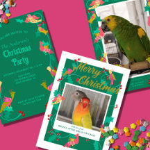 Christmas is for the Birds