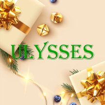Ulysses Name T-Shirt