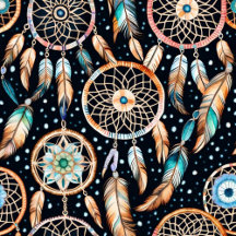 Midnight Dream-Catching