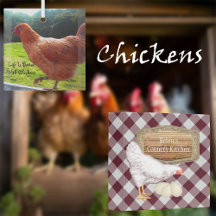 Chickens