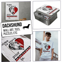 Home Is Where Your Dachshund Is