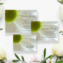 White Daisy Flower Petals Wedding 