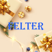 Felter_Name T-Shirt