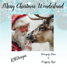 Christmas in  Wonderland 