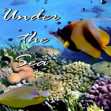 Under the Sea