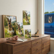 The "Forever Faithful" Custom Pet Collection