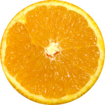 Orange Fruit Fresh Slice