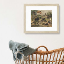 Vintage Art Prints for your Home